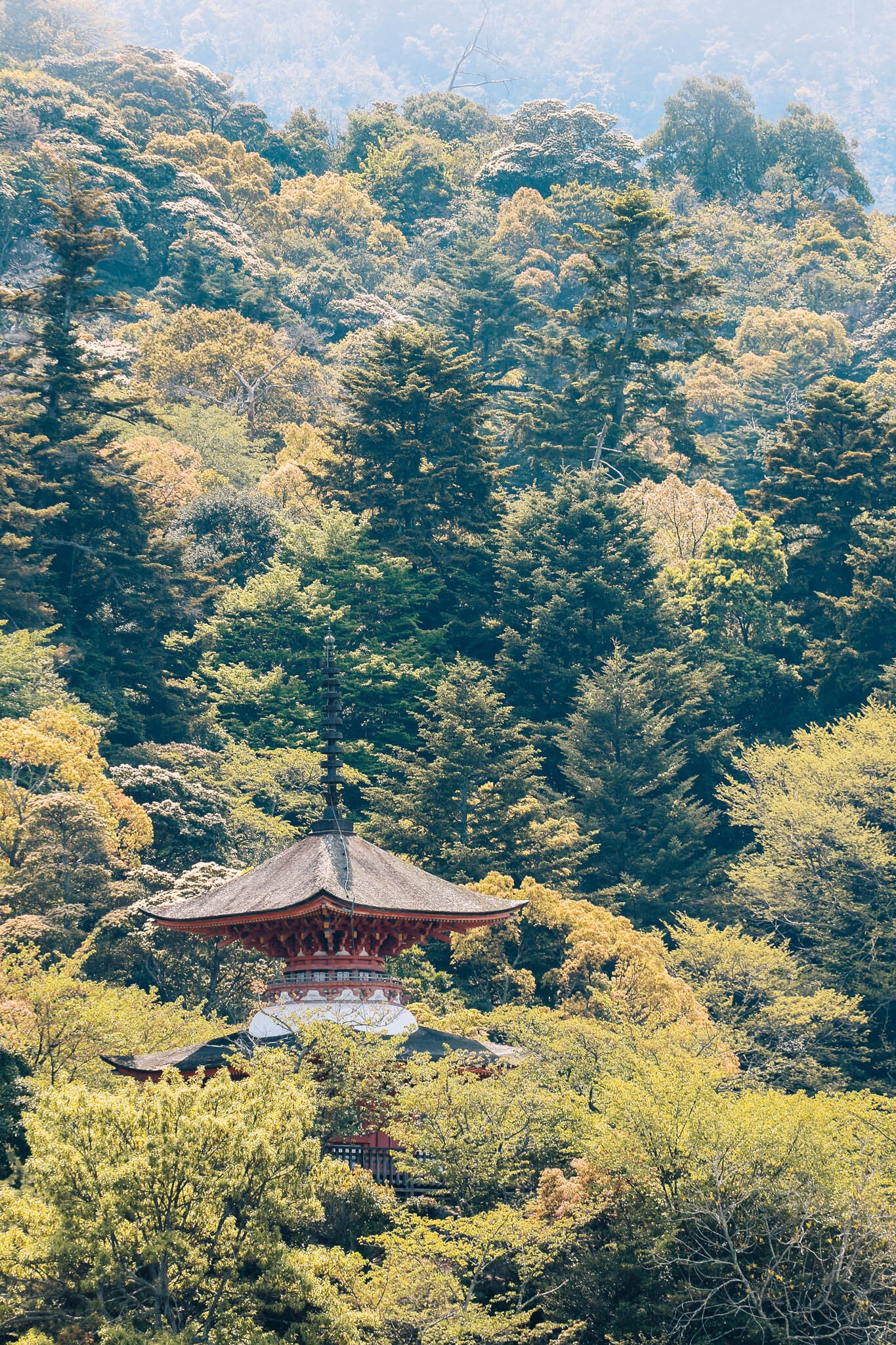 Toyokuni - Miyajima Japan Pagoda Print Photography by Carla & Joel