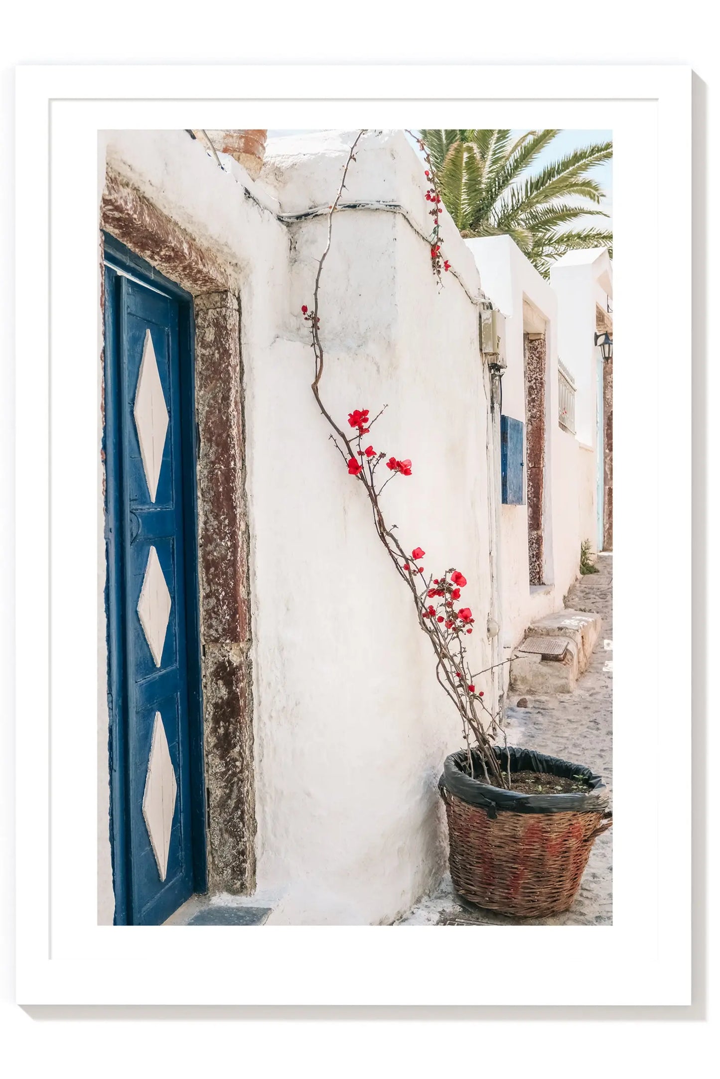 Bougainvillea - Santorini Greek Island Print Carla & Joel Photography