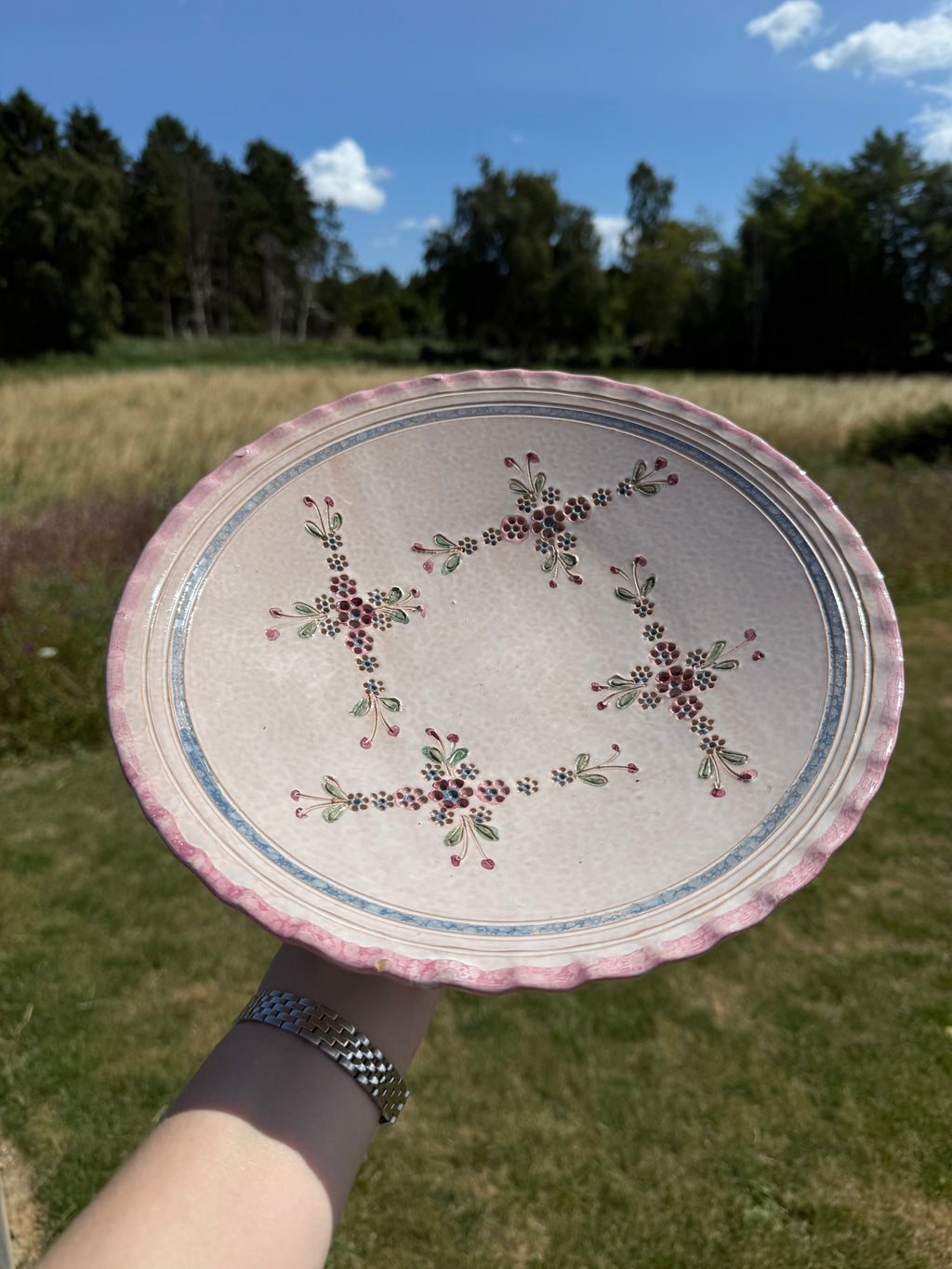 A hand holds a round ceramic plate outdoors in a grassy field under a blue sky. The plate has a scalloped pink rim, a blue inner border, and a central floral pattern in red and green.