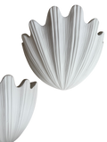 Plaster Shell Sconces
