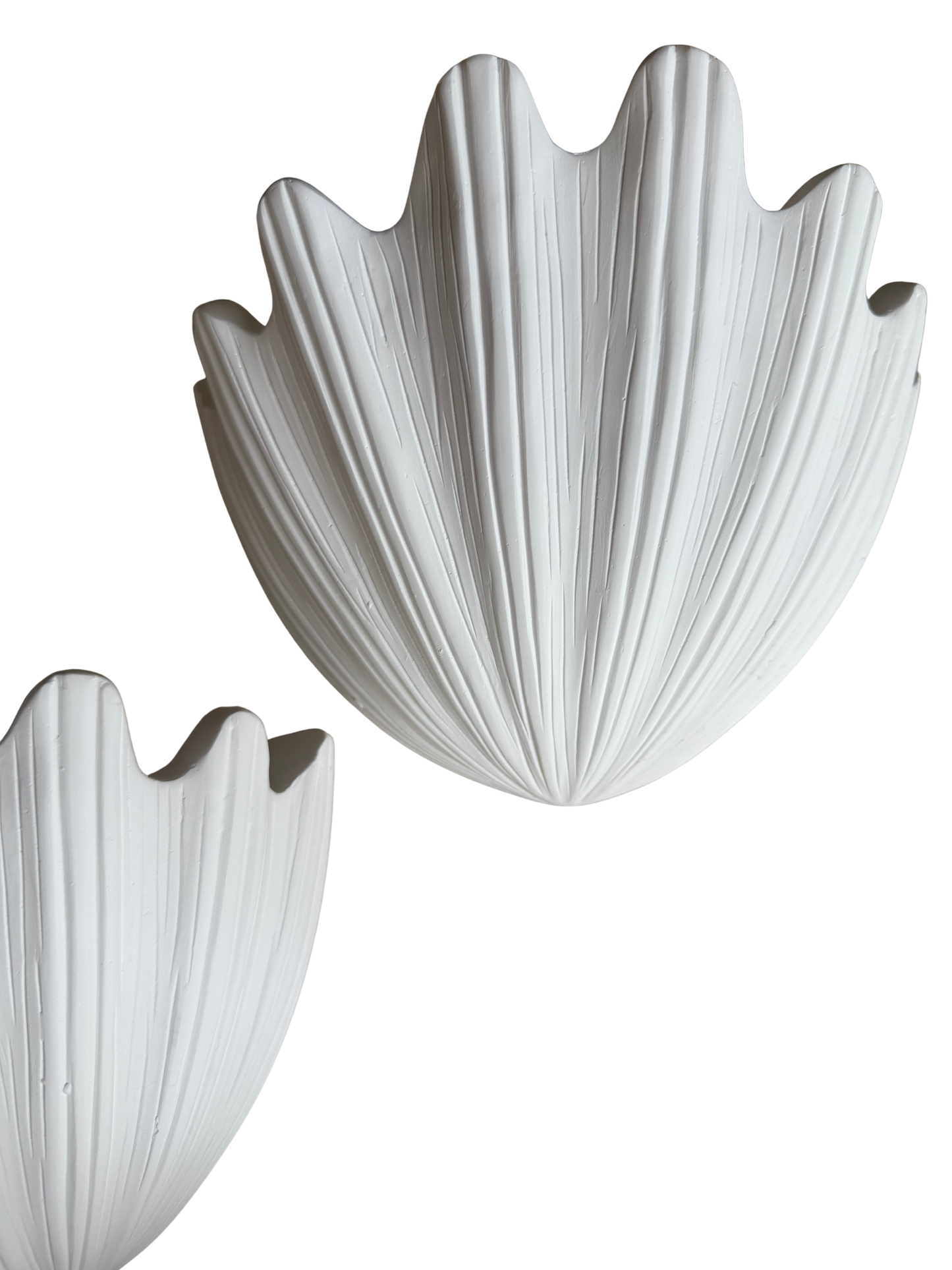 Plaster Shell Sconces