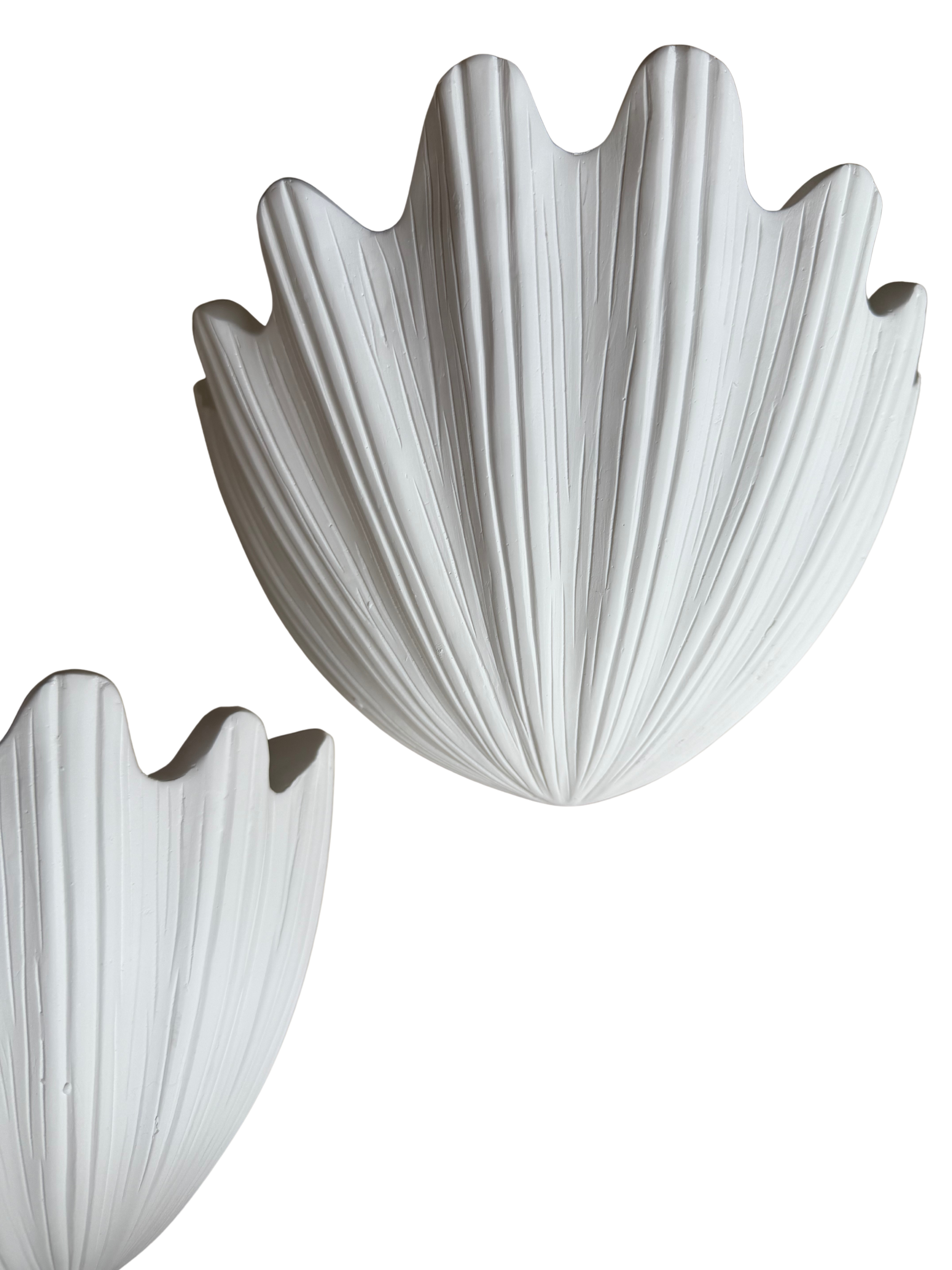 Plaster Shell Sconces