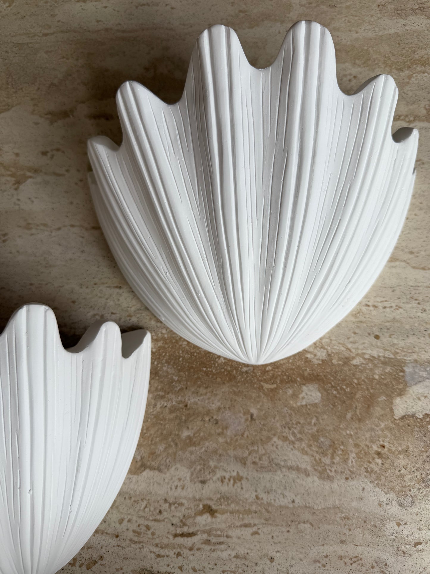 Plaster Shell Sconces