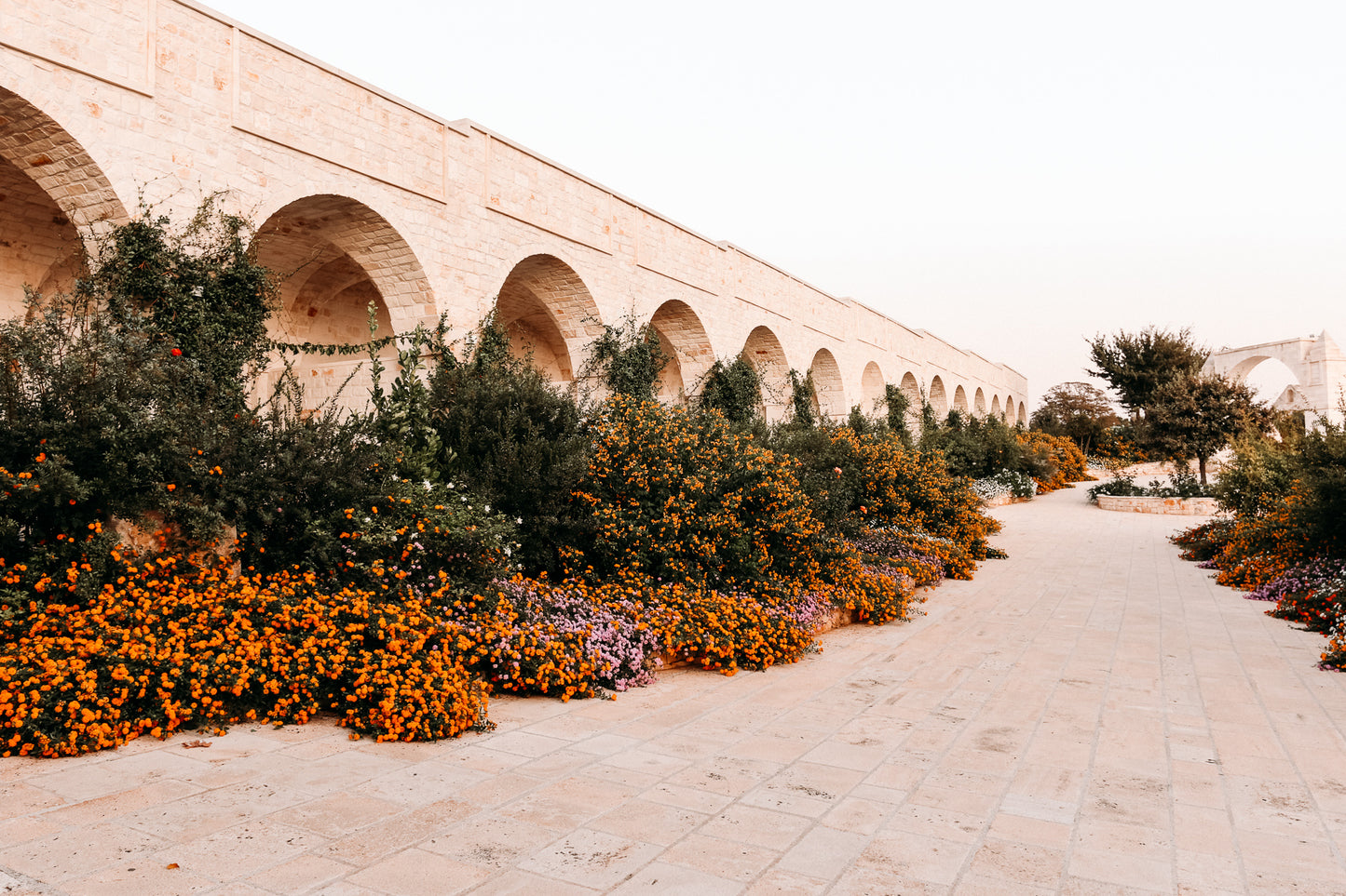 Arco dei Fiori - Garden Masseria Print Carla & Joel Photography