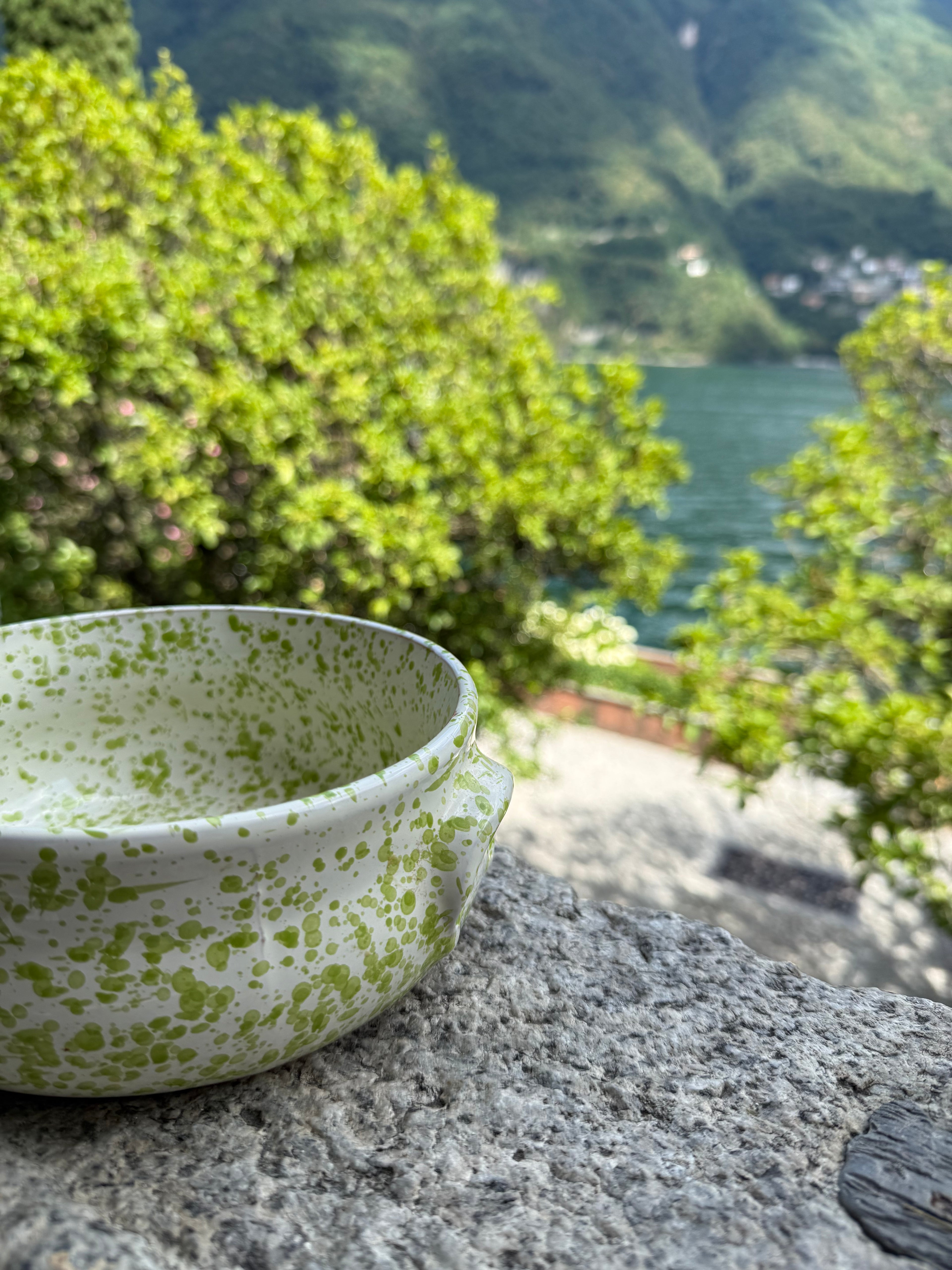 A speckled ceramic bowl with a white base and green splatter pattern, resting on a stone ledge with a blurred background of green trees and a scenic lake view.
