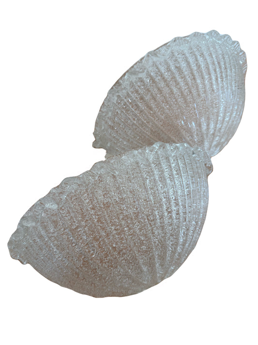 Clear Murano Wall lights shell shape with wavy edge detail 