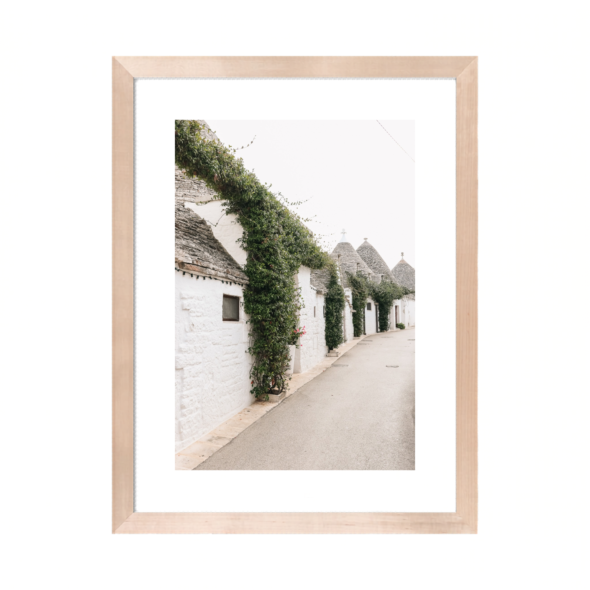 Truly Alberobello