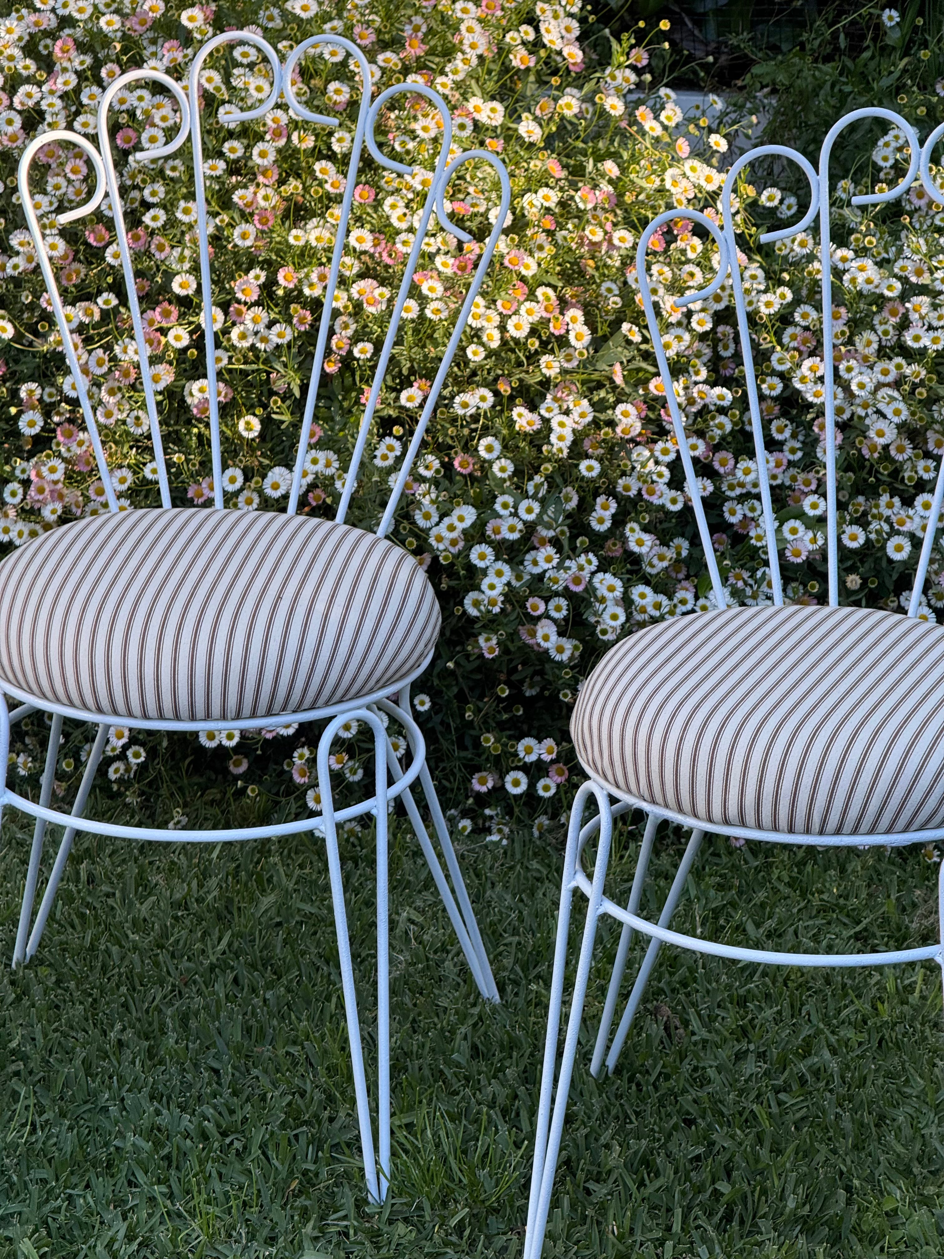 Two white metal garden chairs with striped cushions, set on green grass in front of a dense bush of small white and yellow flowers.