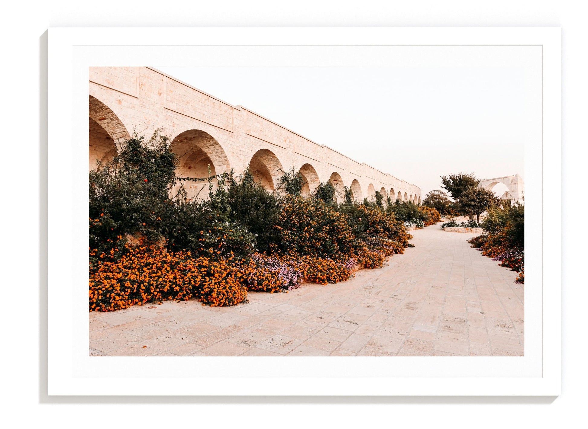 Arco dei Fiori - Garden Masseria Print Carla & Joel Photography