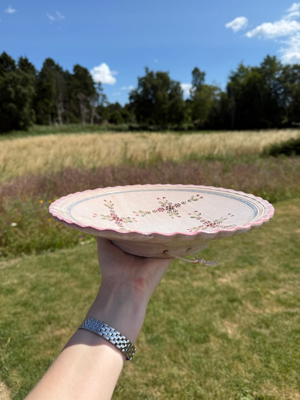 A hand holding a scalloped pink ceramic plate with a floral pattern, set against a blurred outdoor background of a grassy field and trees under a blue sky.