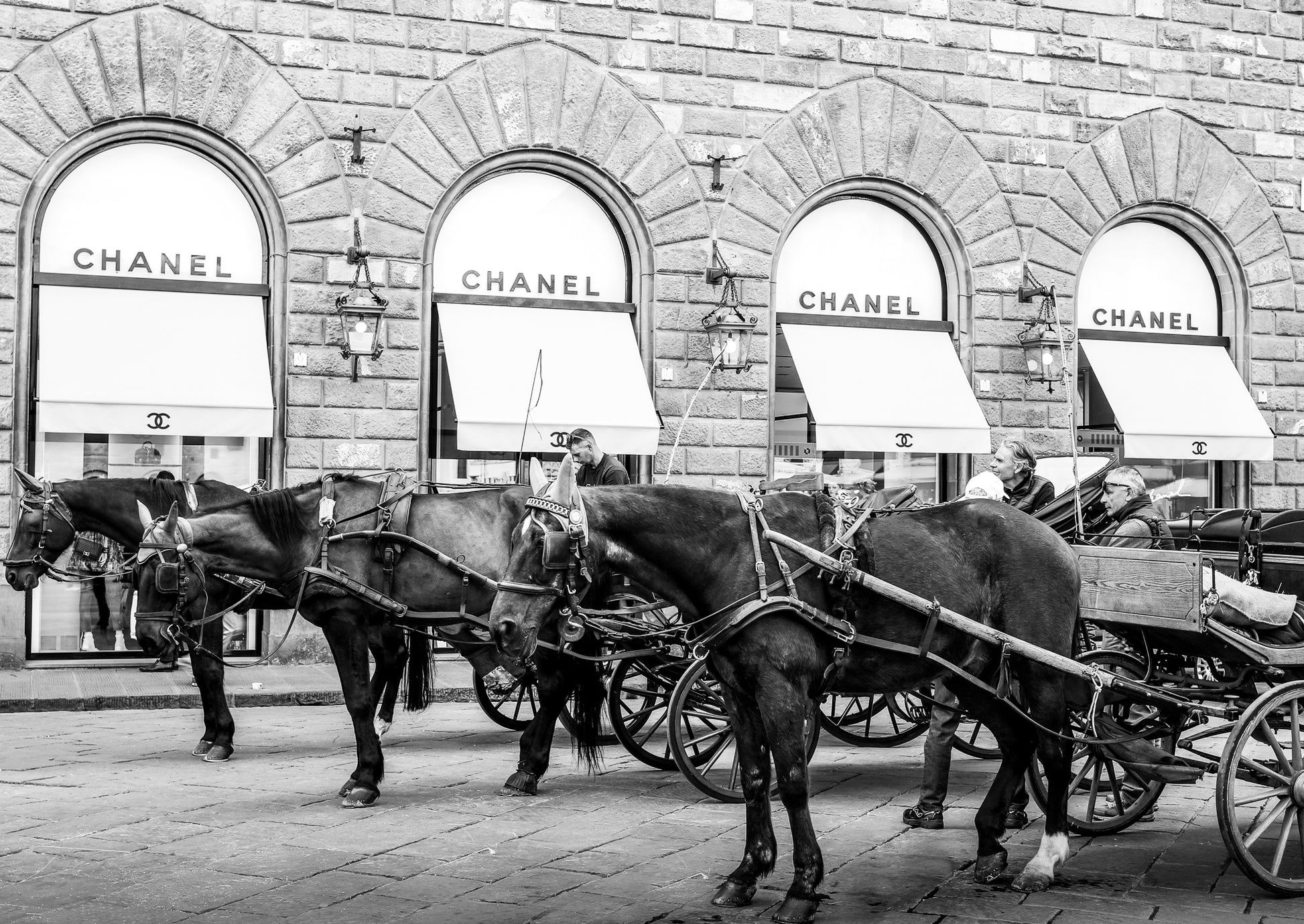 Chanel et Cheval- Florence Horse B&W Carla & Joel Photography Print