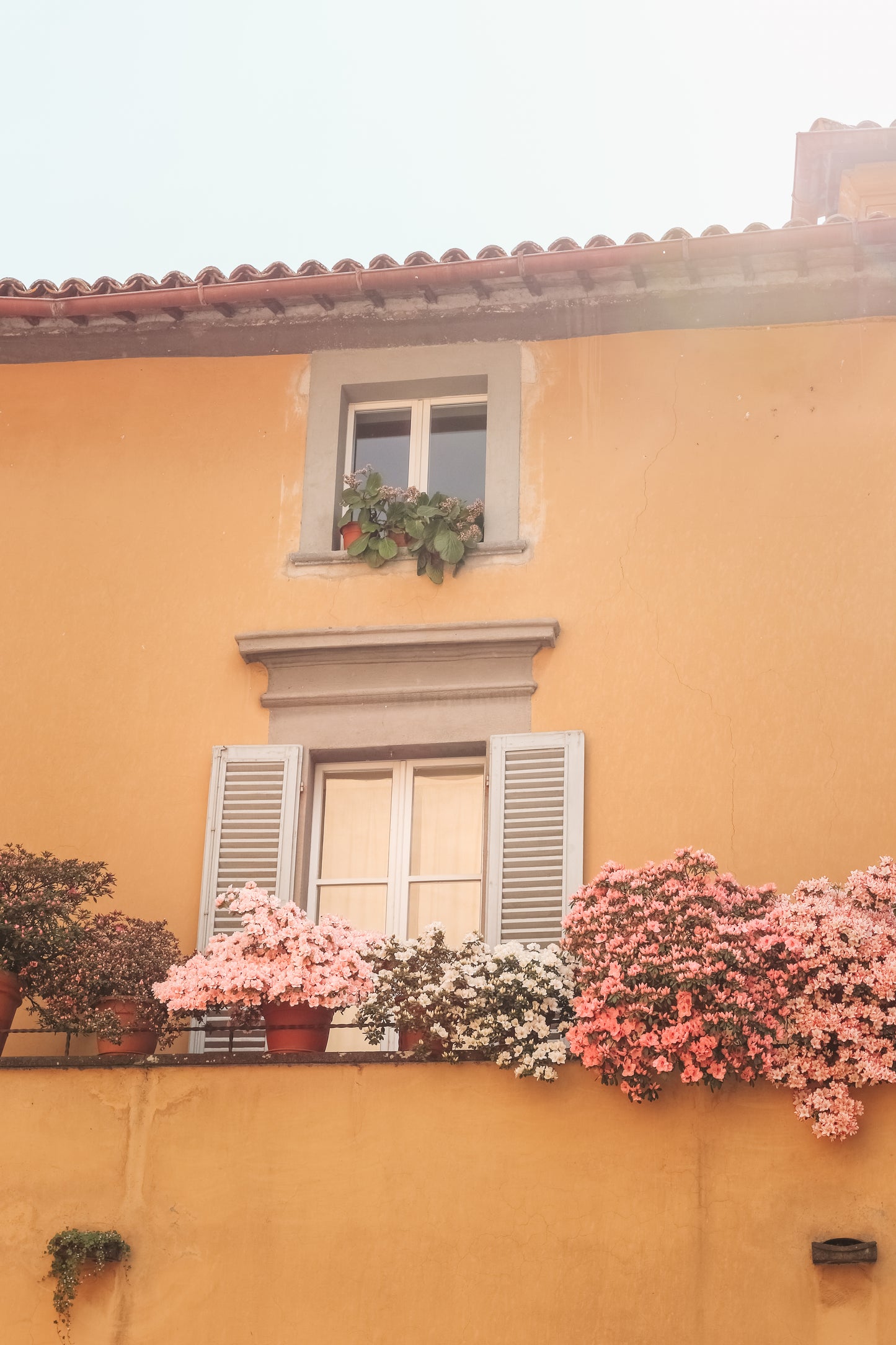 Tuscan Fiori - Cortona Italy Balcony Print Photography by Carla & Joel